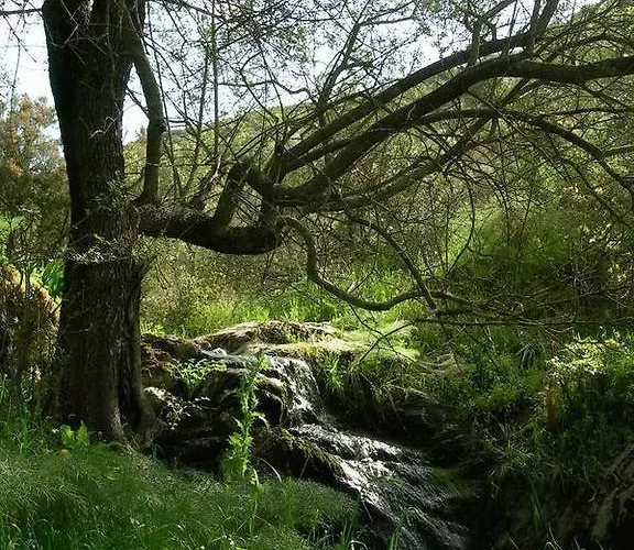 Battaglia Villamassargia